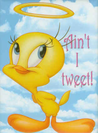 tweety bird wallpapers. tweetybird(24)