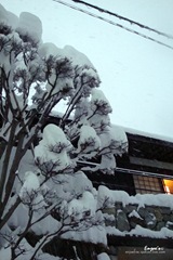 [101101193.jpg]