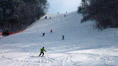 [110206_0823.jpg]
