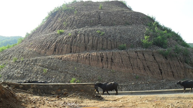 [AMARNATH]