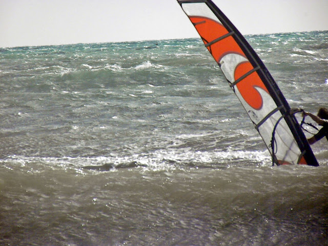 DSCN4687.JPG