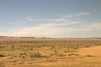 Empty Nevada desert