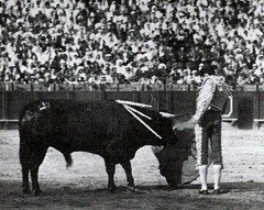 Manolete con un Miura (Sevilla) 001