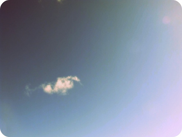 [sky[4].jpg]