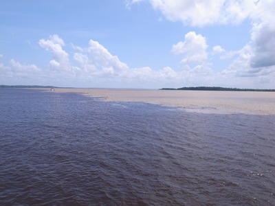 R0013038 R0013038