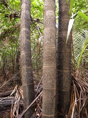R0013371 R0013371
