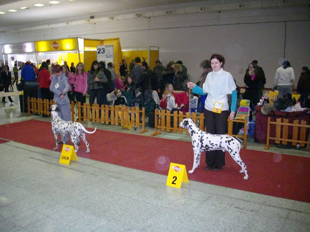 K%C3%A9p%20111.jpg