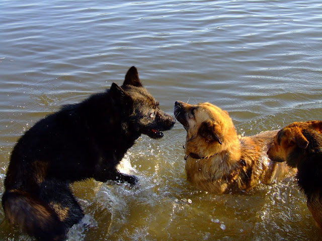 DSCF9069.JPG