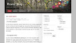 flower blog