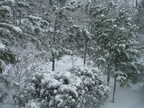 Snow 2009 049