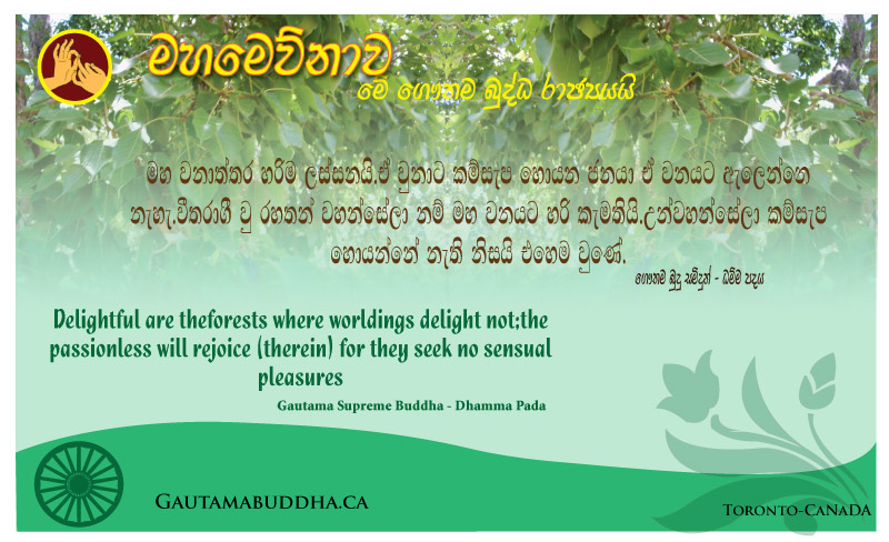 Asapuwa-poster_1_Web.jpg