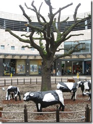 IMG_0077 Oak Court concrete cows