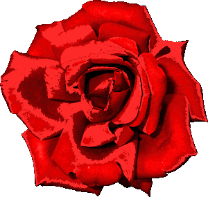 Lu.Amendola20100712-152558.png