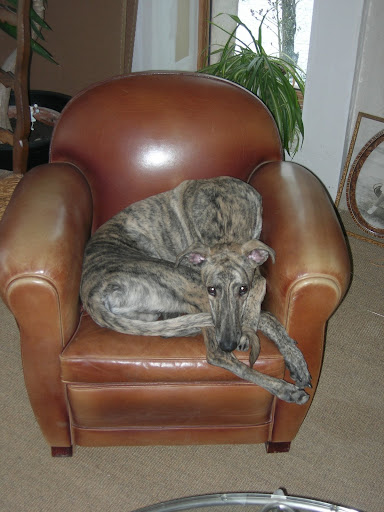 DSCN7047.JPG