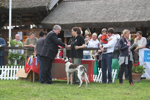 IMG_1882.JPG