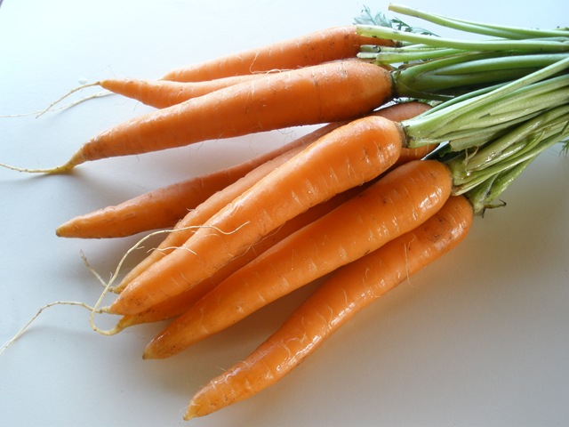 [Carrots, garlic, etc 003[2].jpg]