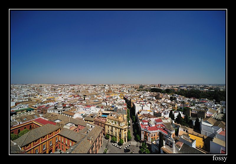 Catedral13.jpg
