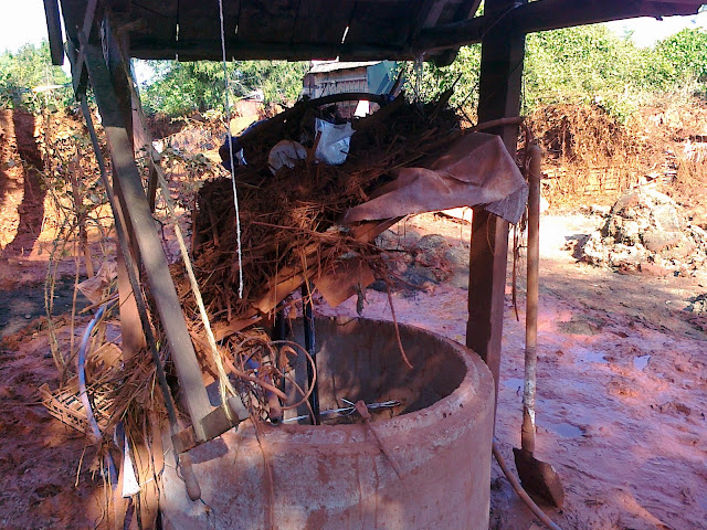 20101011033.jpg