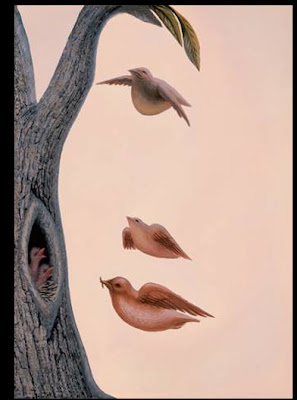 Taringa Super Post De Arte Imagenes Con Doble Sentido En Taringa