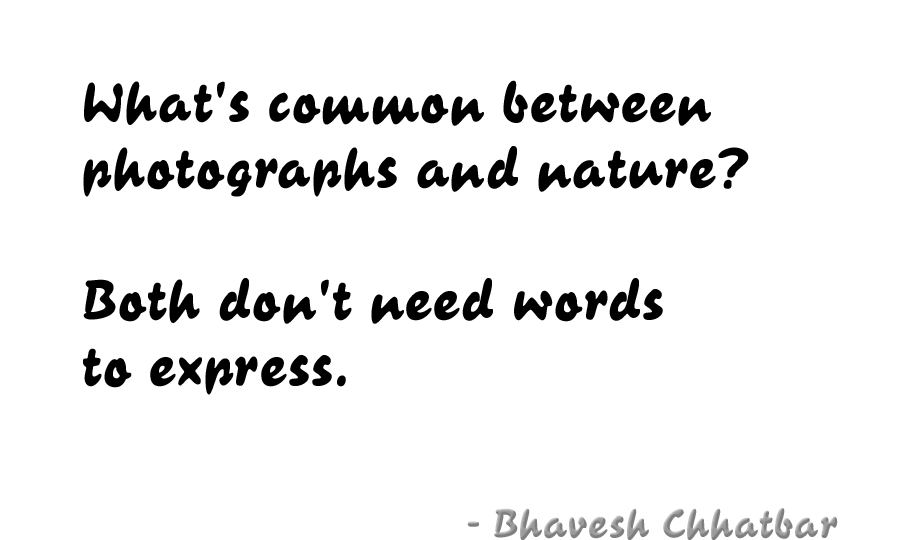 Fresh Quotes What s Common Between Photographs And Nature 