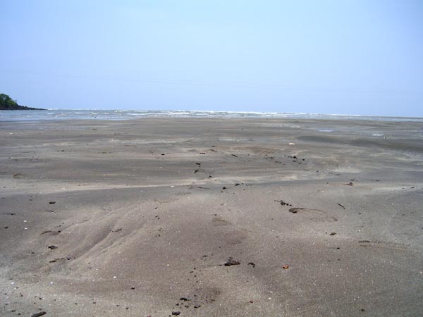 Sand of Harne beach island