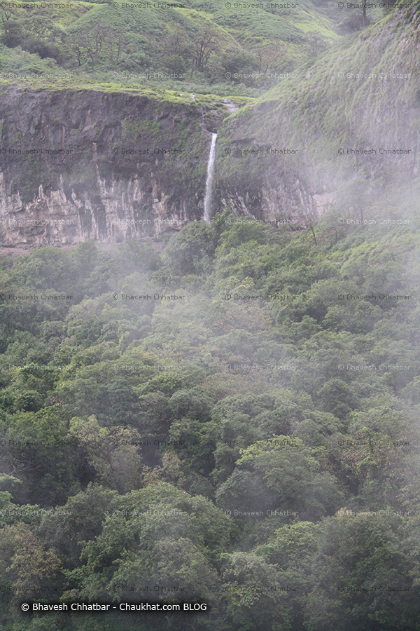 Waterfall pouring into the canopy