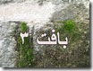 بافت ۳ بافت ۳