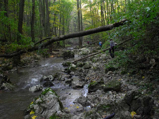 DSCF9673.JPG
