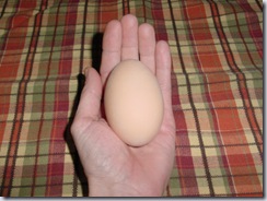 That's one really huge egg!