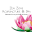 Zen Zone Acupuncture & Spa Download on Windows