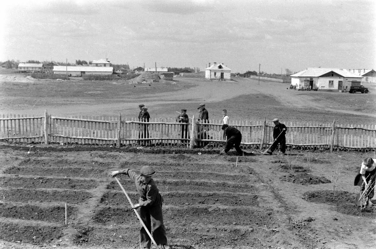 Soviet Union Virgin Lands "Breadbasket" Story Filmed In Area Of