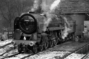70013OnShed2_BW