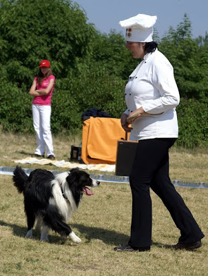 PICT0988.jpg