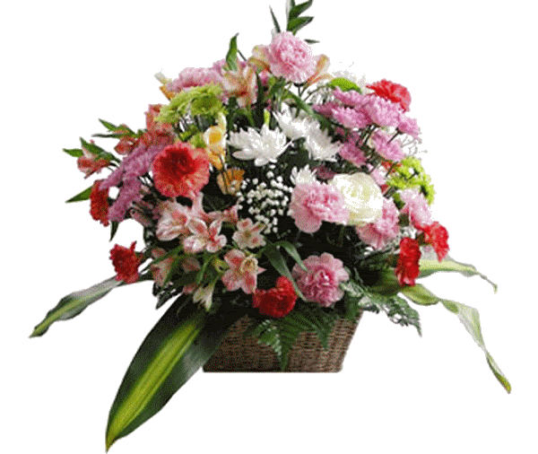 Spring-Grandeur-poza-t-P-n-GRANDOARE%252