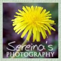 Sereina's Photography