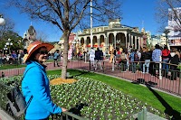 Ăn Tết xa nhà (14): Xem diễn hành dưới phố Disney