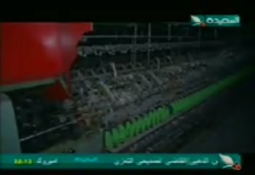 Alsaeeda Channel Live Stream