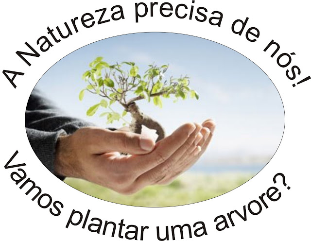 Resultado de imagem para plantar árvores