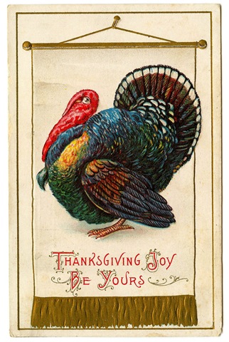 [thanksgiving-turkey-banner-graphicsfairy003b[3].jpg]