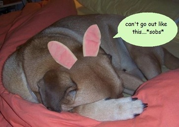 [bunny ears sob caption[3].jpg]