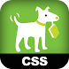 CSS: The Missing Manual