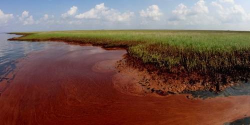 Imagens do terrível vazamento de óleo no Golfo do México