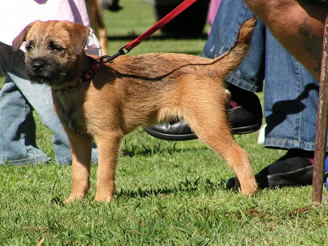PICT0039.JPG