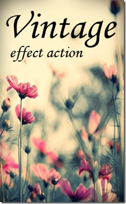 Vintage_Effect_Action_by_Irridian