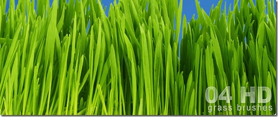 grass-hd-brushes-large