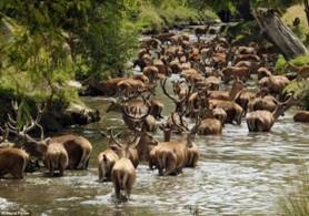 [clip_image008[9].jpg]