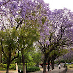 Jardines de Murillo - 2.jpg