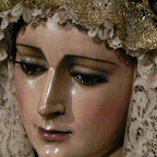 Semana santa de Sevilla-Cachorro-Besamanos V Patrocinio 3.jpg