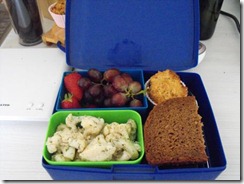 lunchbox 20.04
