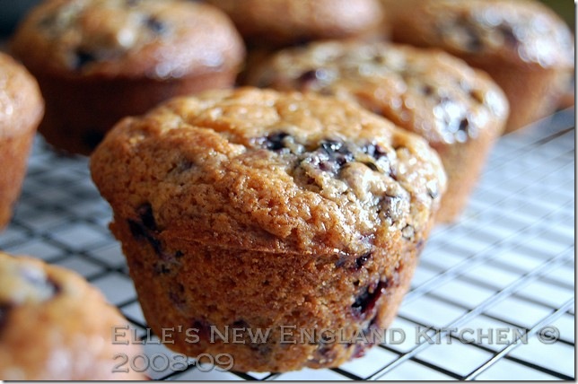 browned-butter-blueberry-muffins-3